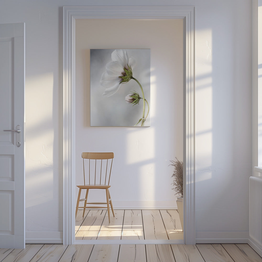 Heavenly Cosmos | Canvas