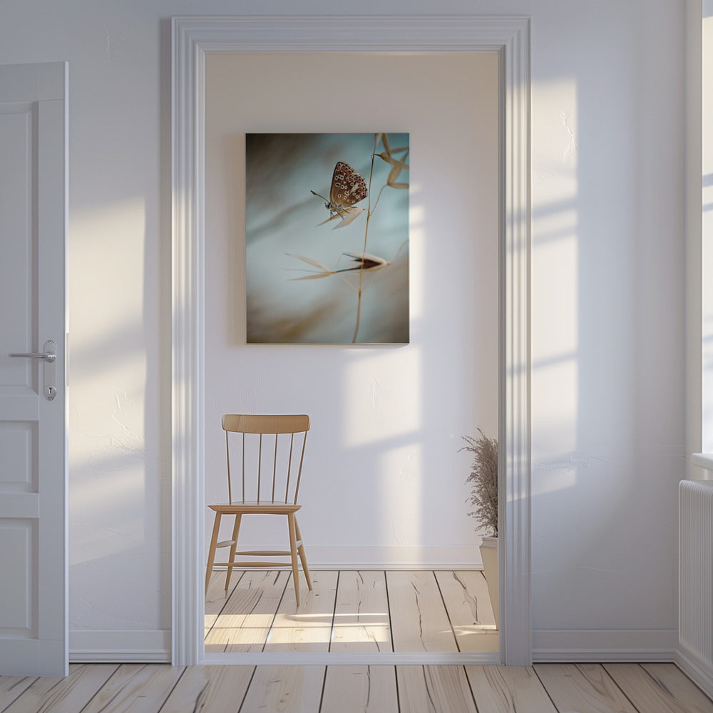 Dream in blue | Canvas