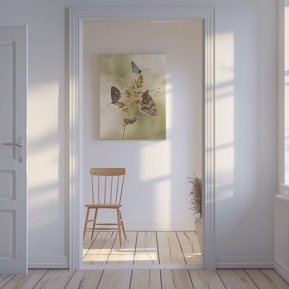 A kind of melting pot | Canvas