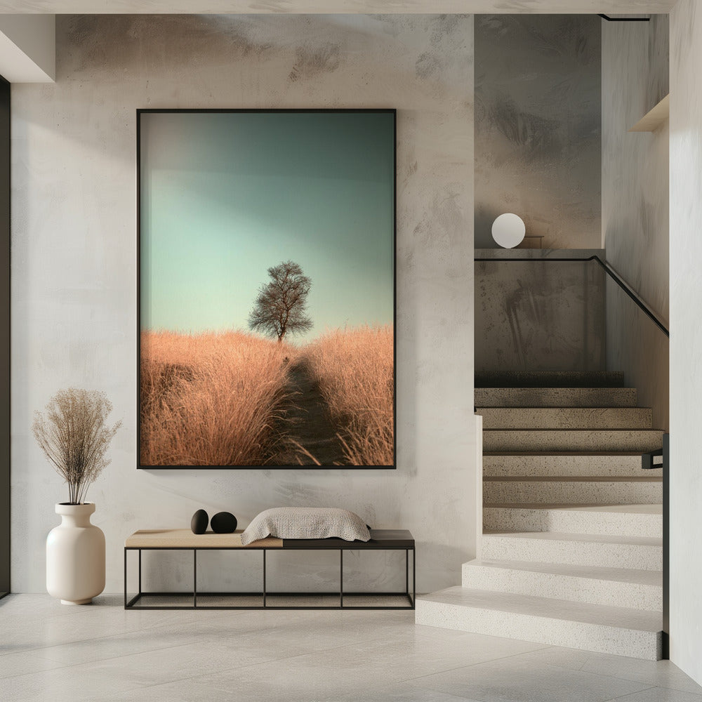 Grass and Path | Poster