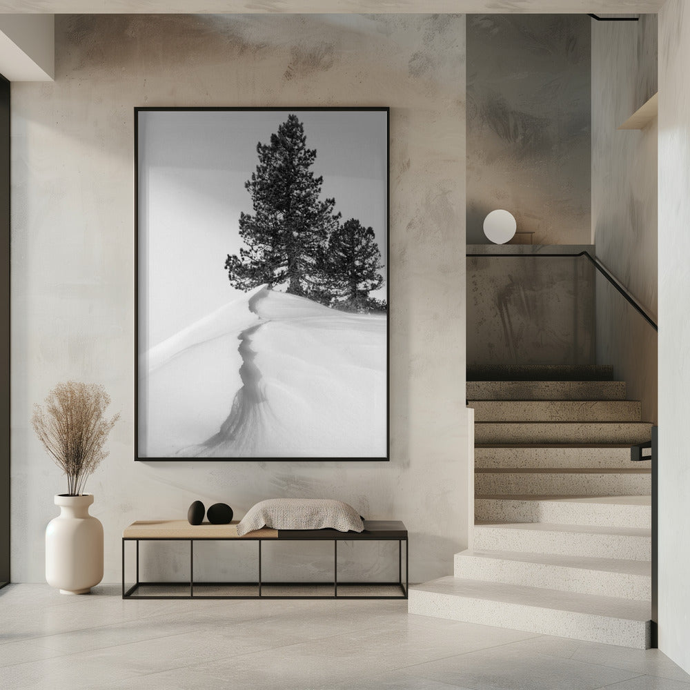 About the snow and forms | Poster