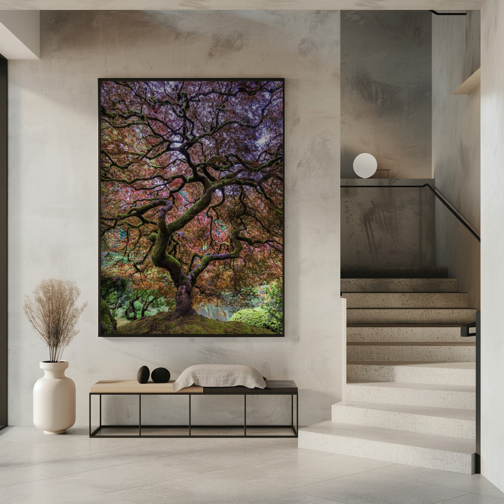 Japanese Maple Tree | Poster