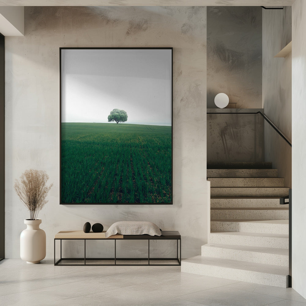 The lonely oak tree | Poster