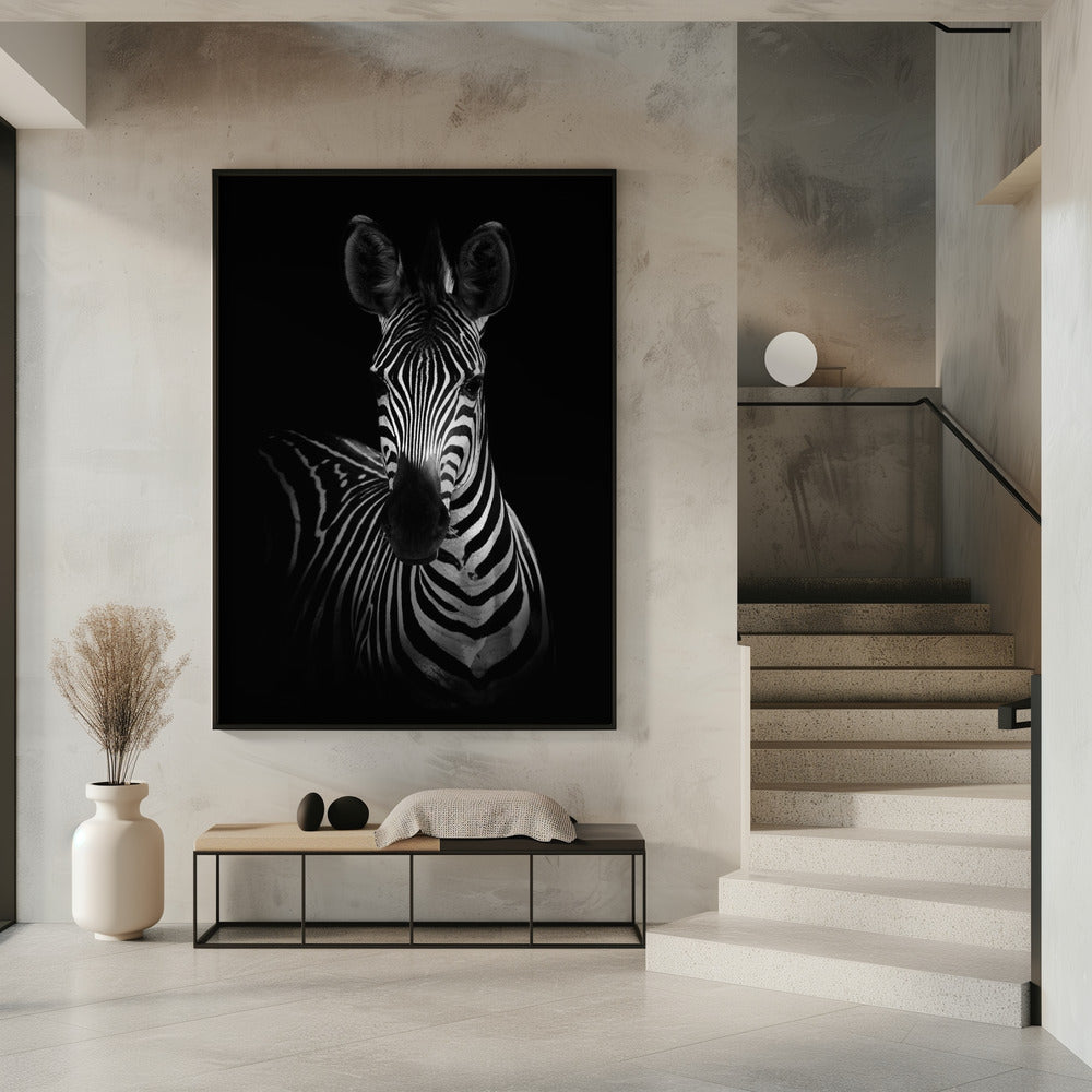 The Zebra | Poster