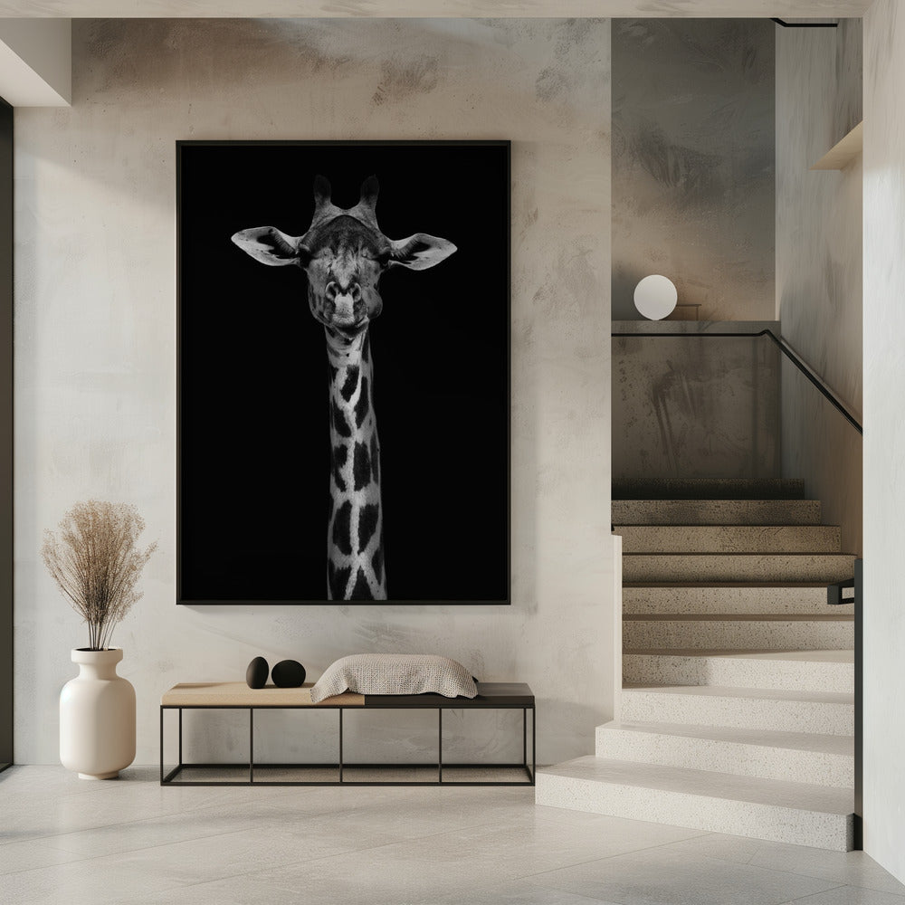 Giraffe Portrait | Poster