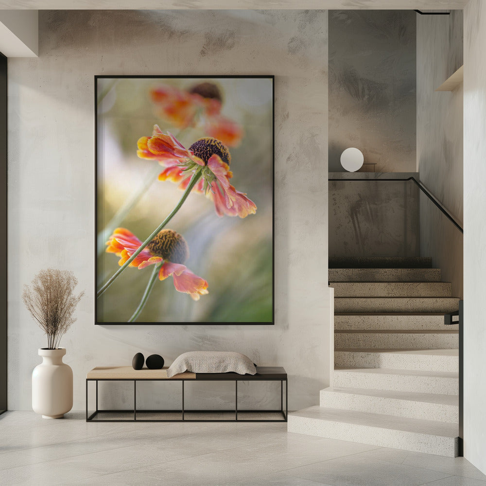 Helenium* | Poster
