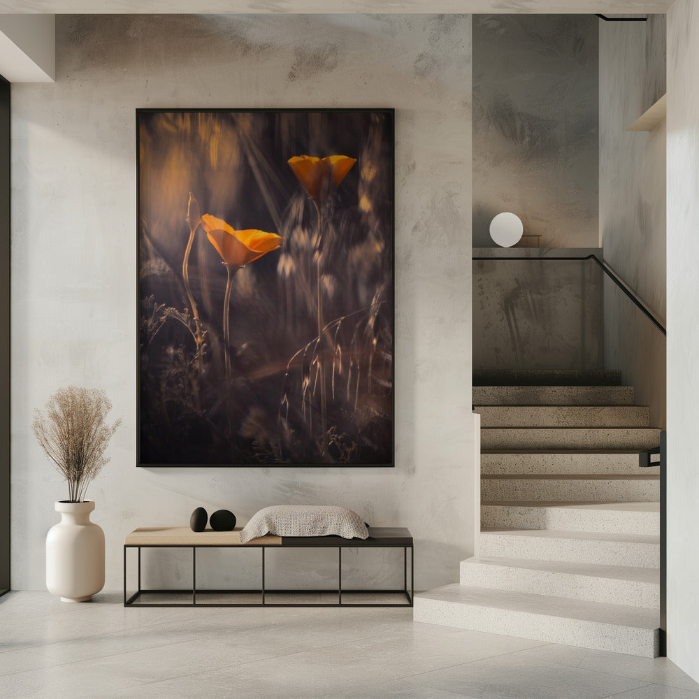 From The Enchanted Secret Garden | Poster