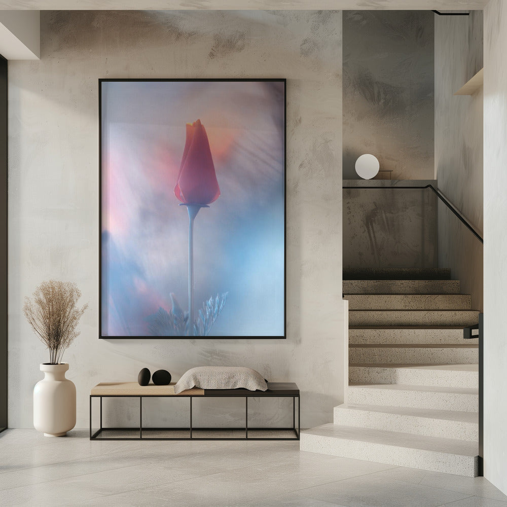 Douceur &amp; Volupté | Poster