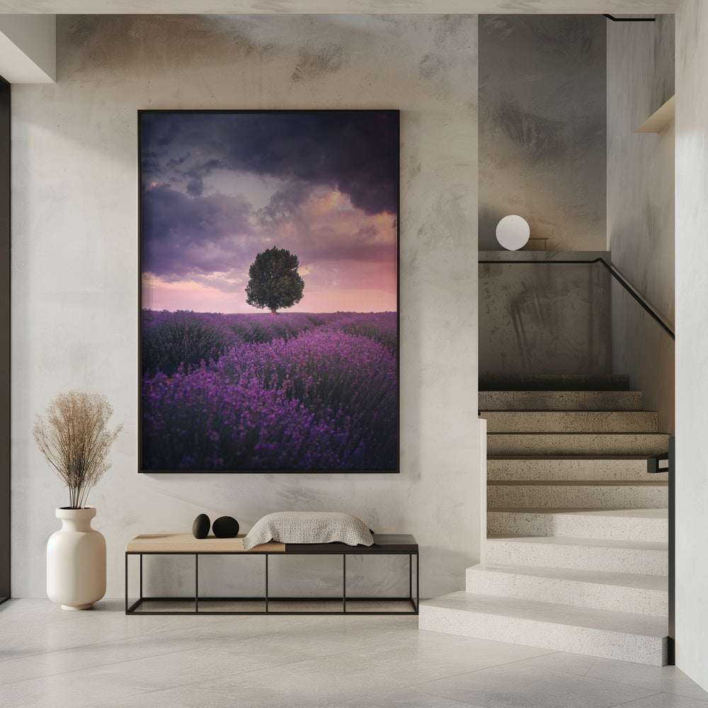 Lavender Fields, Isparta | Poster