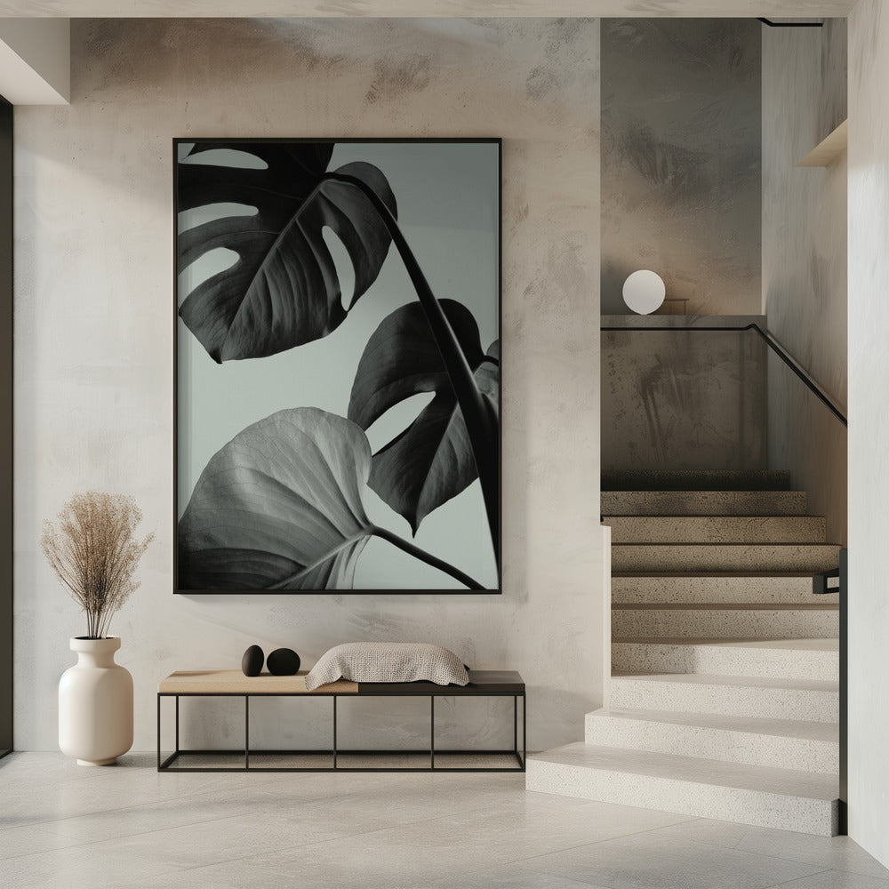 Monstera Teal 07 | Poster