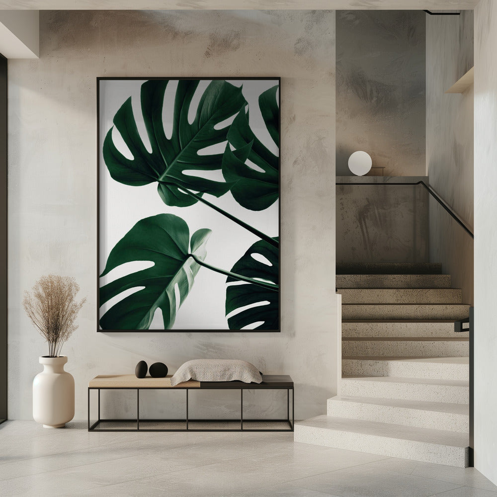 Monstera Natural 43 | Poster