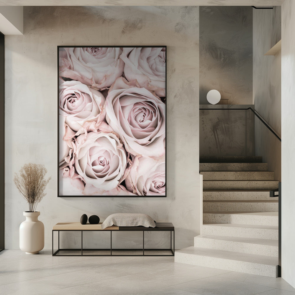 Pink Roses No 01 | Poster
