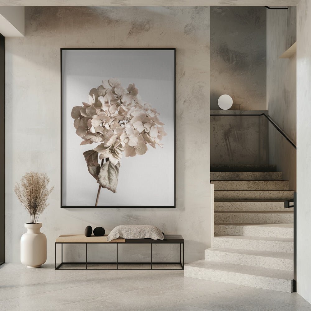 Beige dried flower | Poster