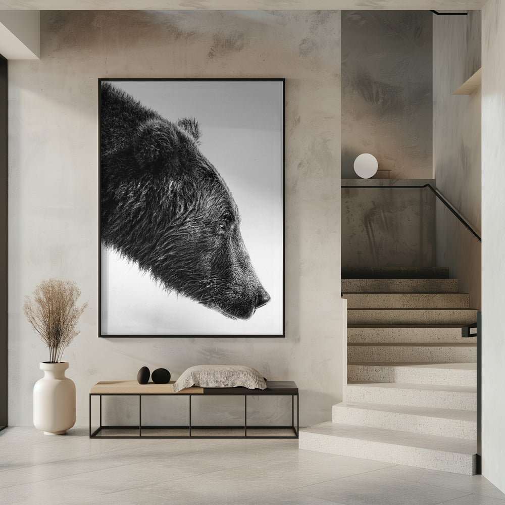 The Salmon Catcher | Poster