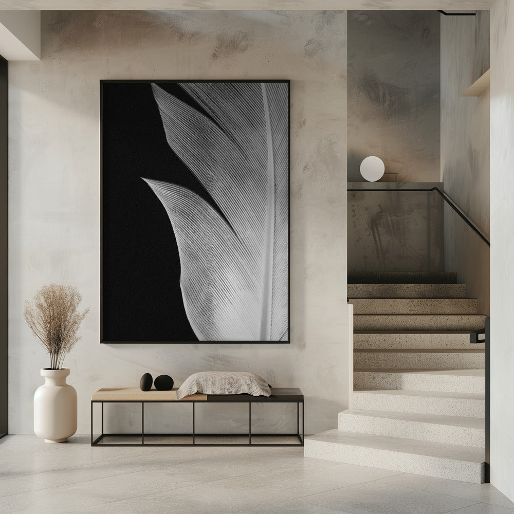 Feather_005 | Poster