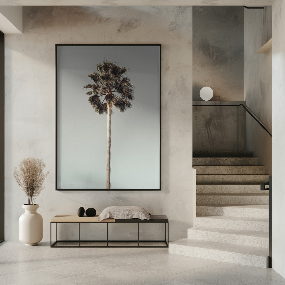 Palm_001 | Poster