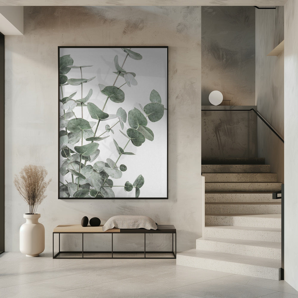 Eucalyptus_003 | Poster