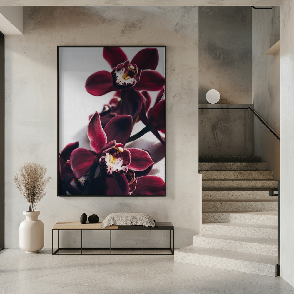Velvet Orchid Twilight | Poster