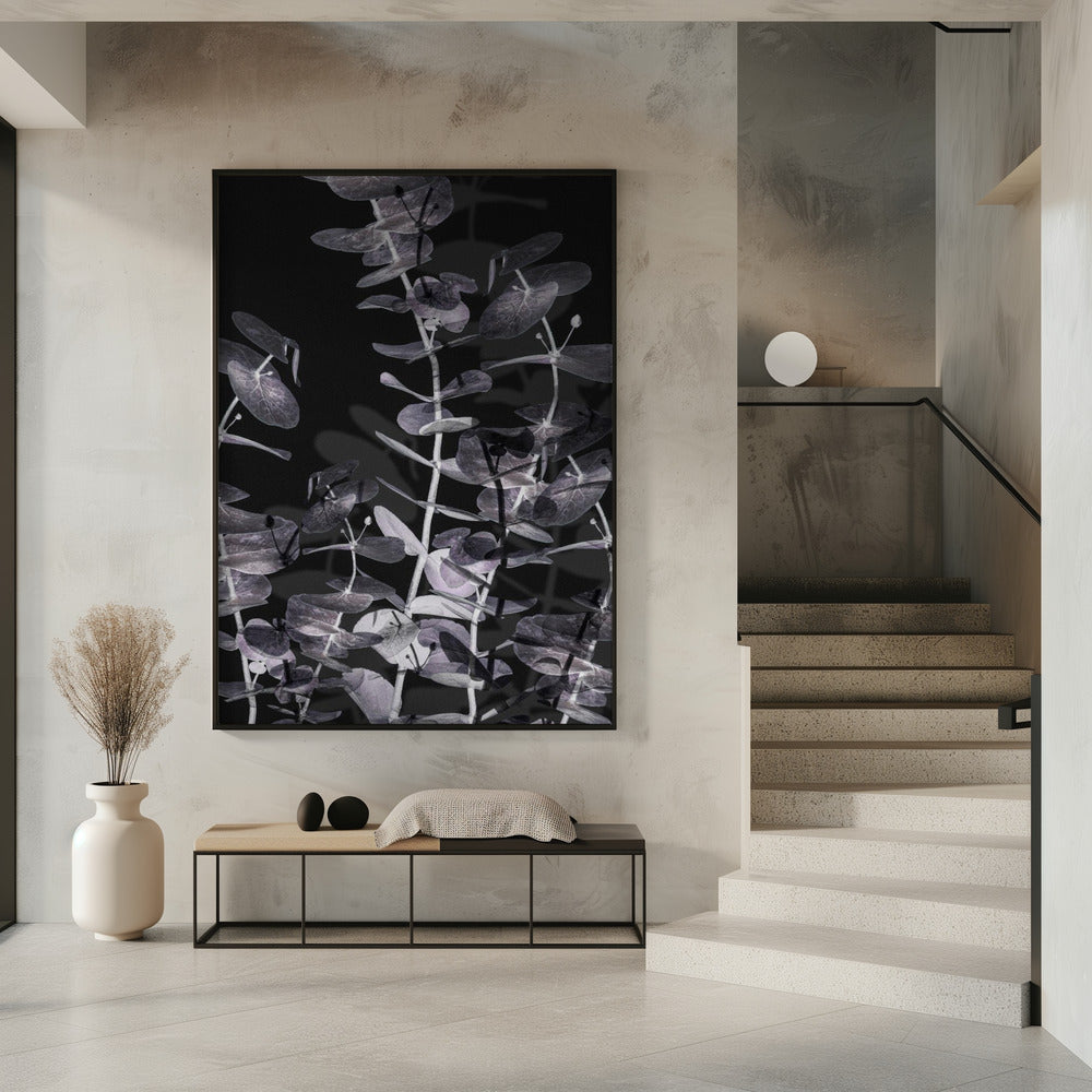 Eucalyptus_Negative_002 | Poster