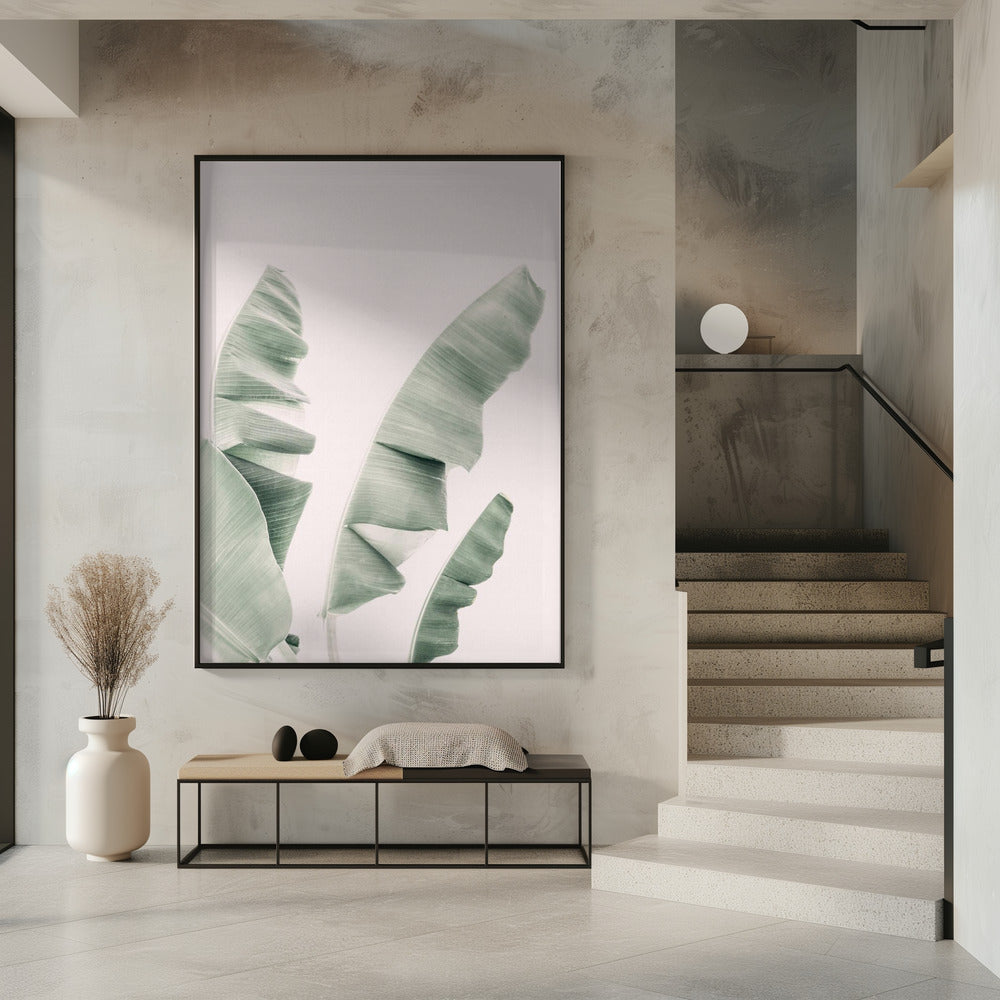 Blush Banana Leaves | Poster