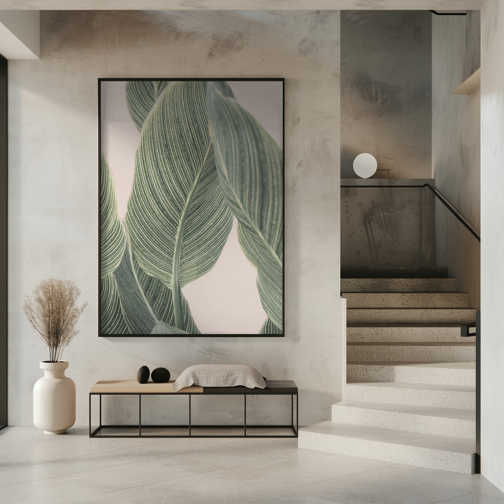 Calla Leaf | Poster