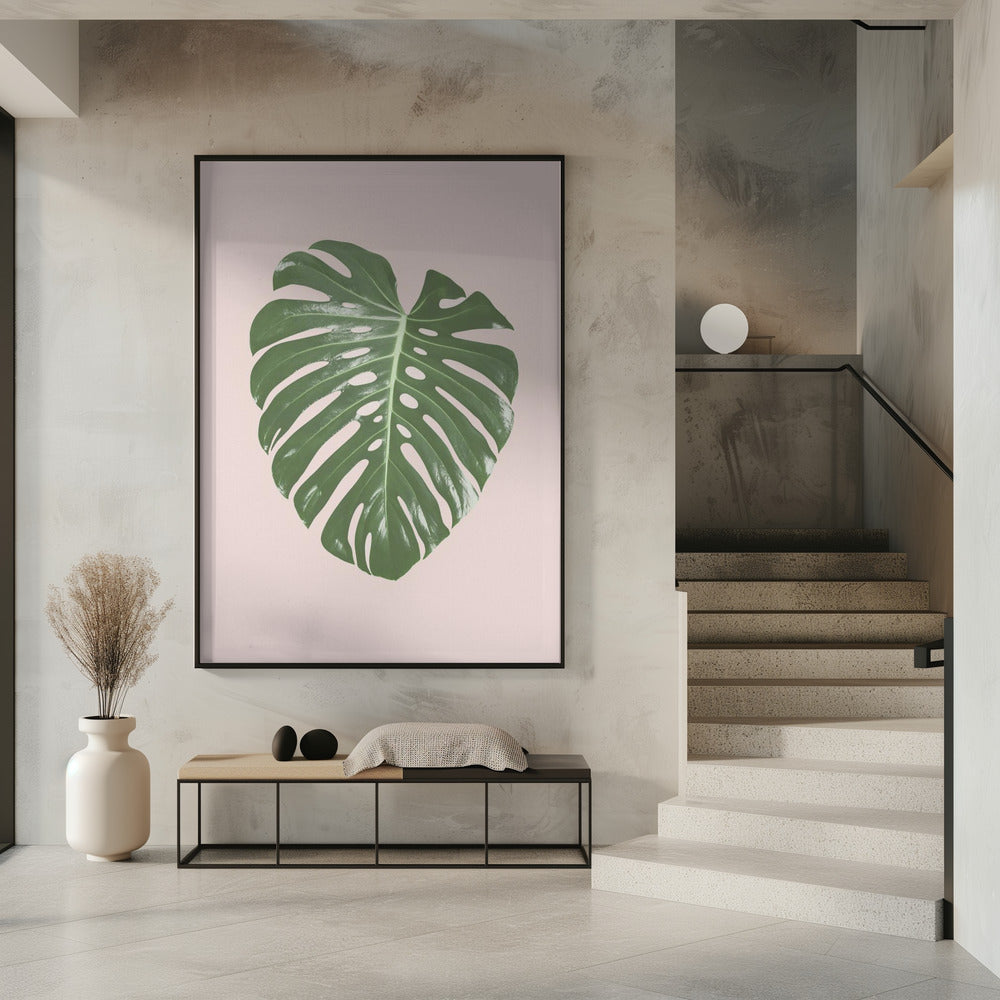 Monstera Leaf Blush | Poster