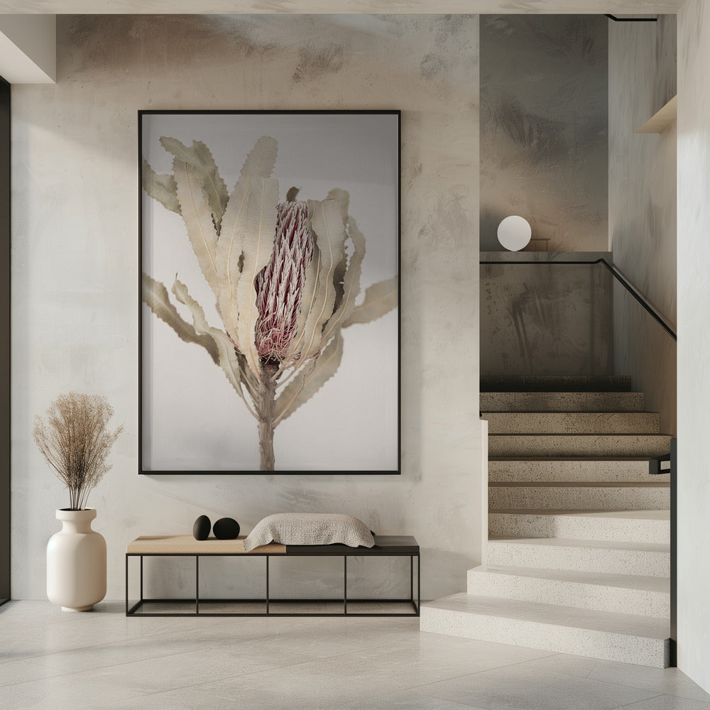 Banksia | Poster