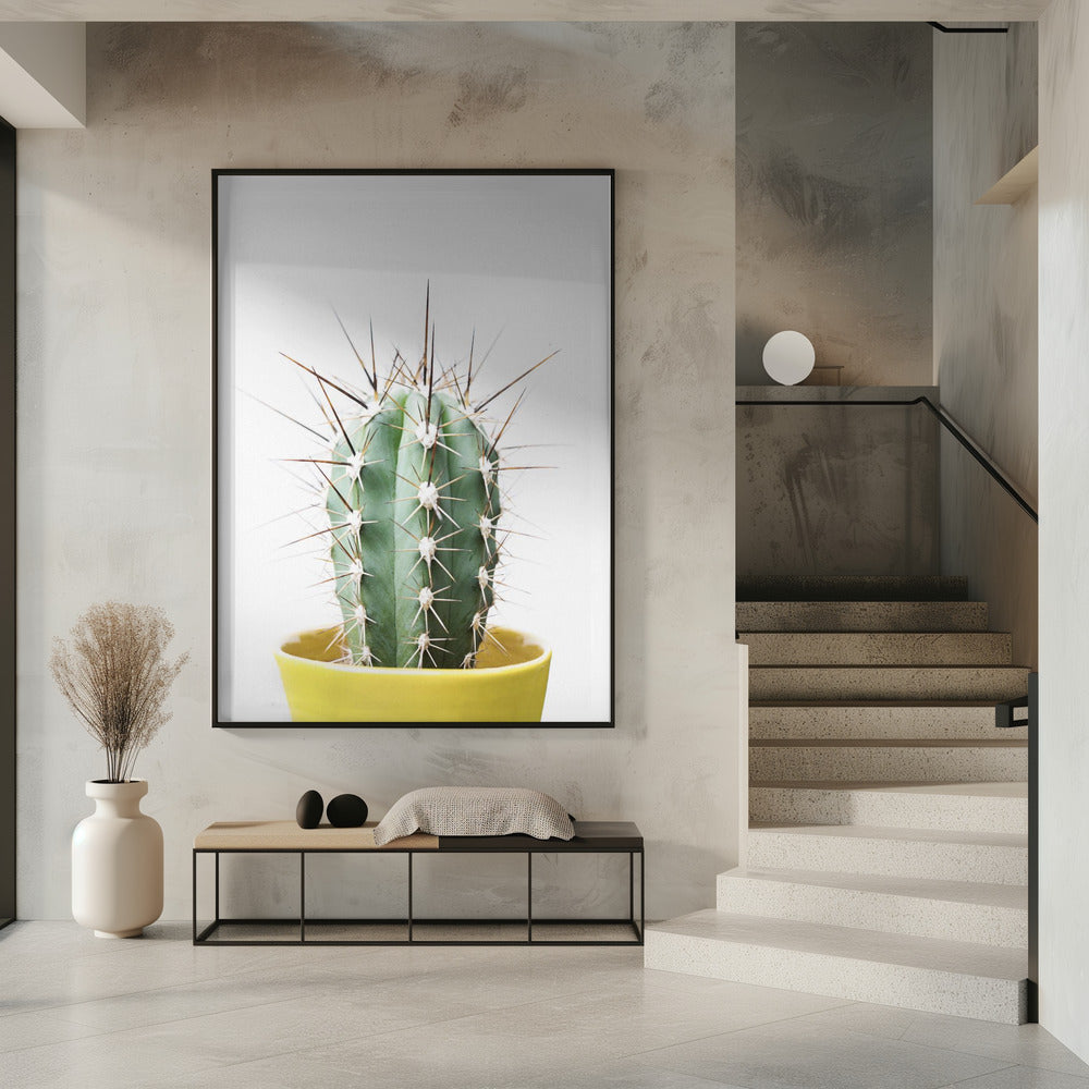 Spikey Cactus | Poster