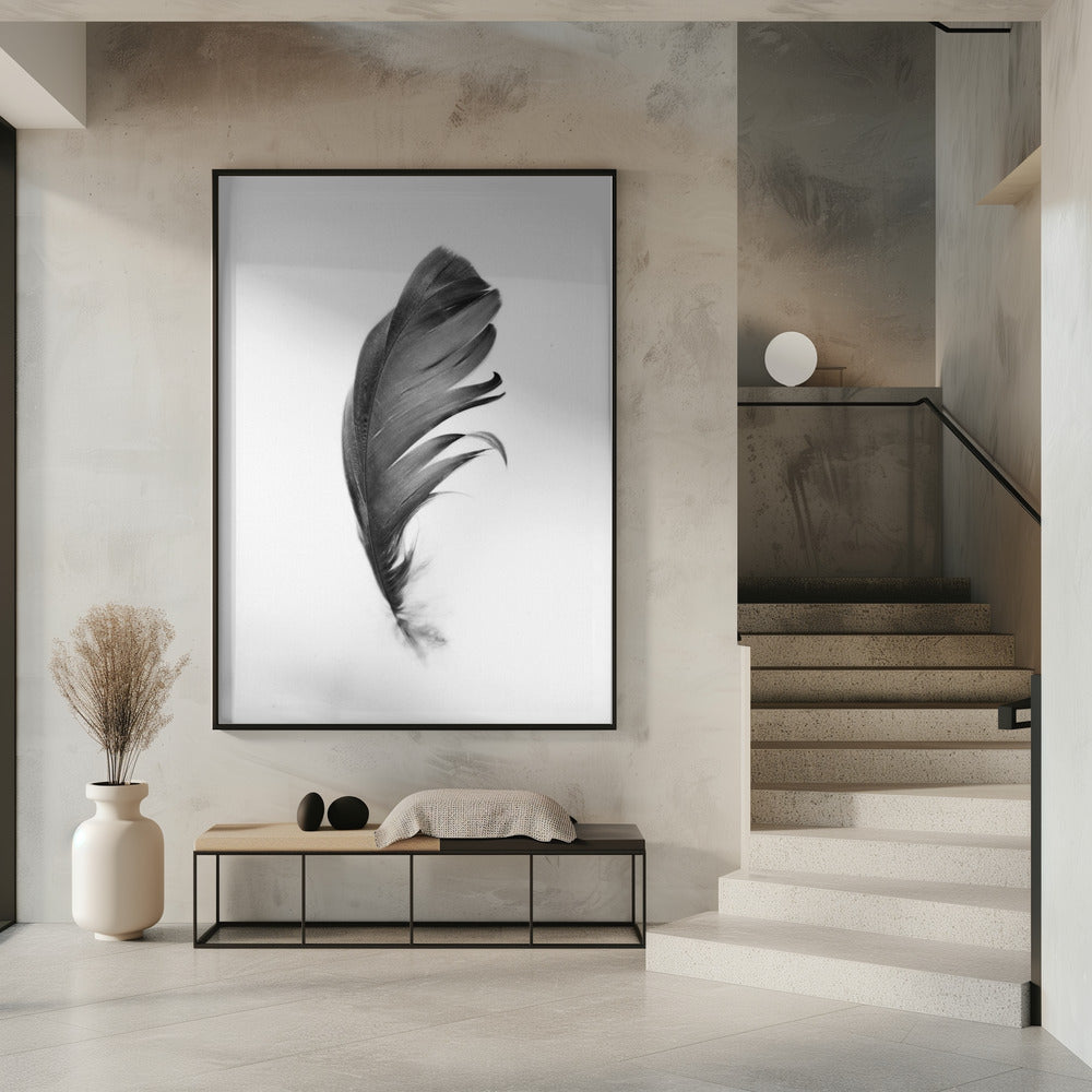 Feather | Poster