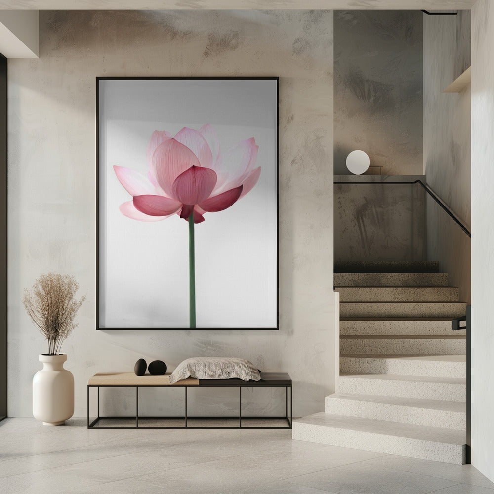 Lotus Flower | Poster