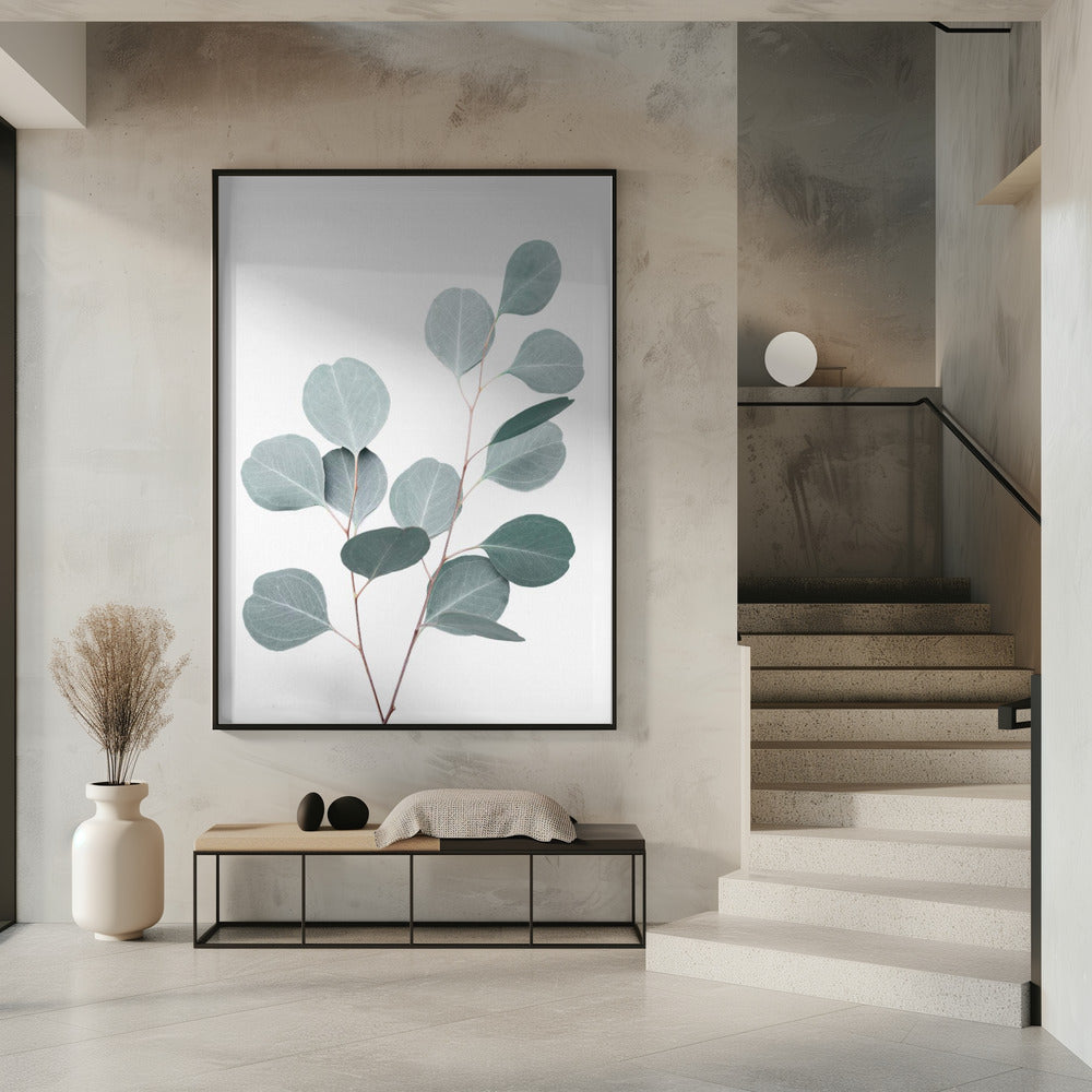 Silverdollar | Poster