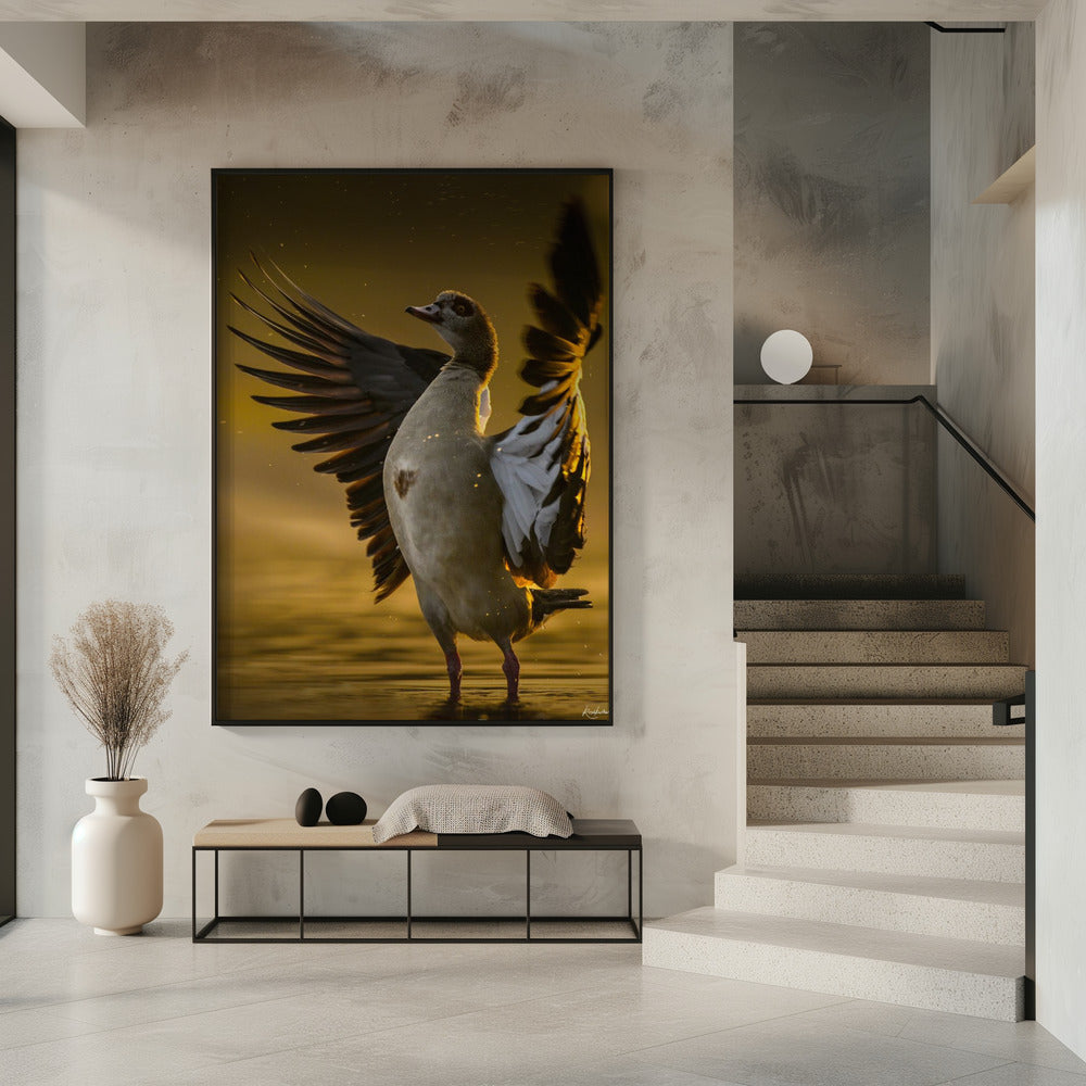 Open  Heart | Poster