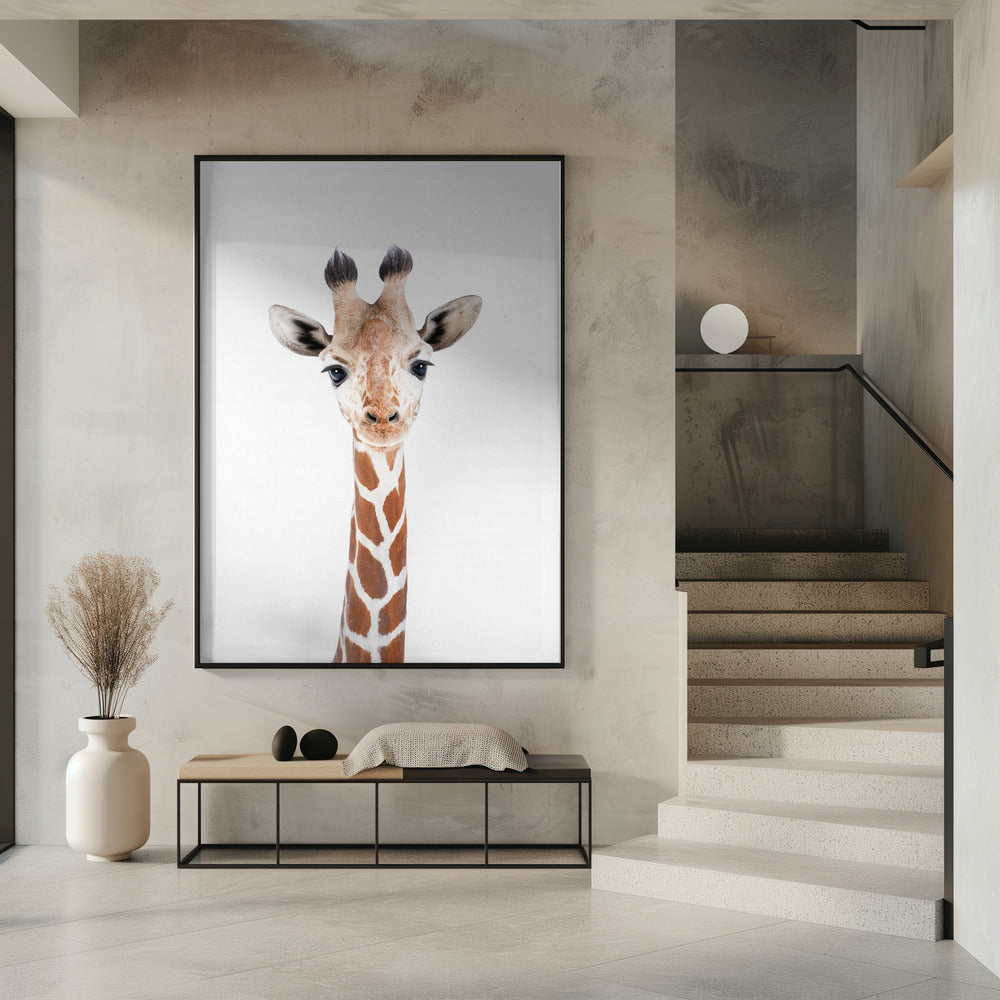 Baby Giraffe | Poster