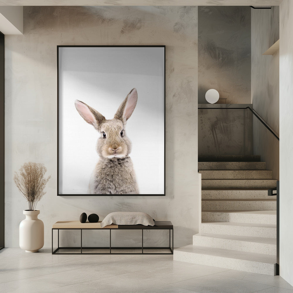 Baby Rabbit | Poster