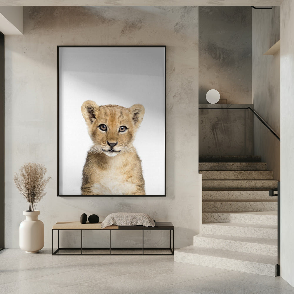 Baby Lion | Poster