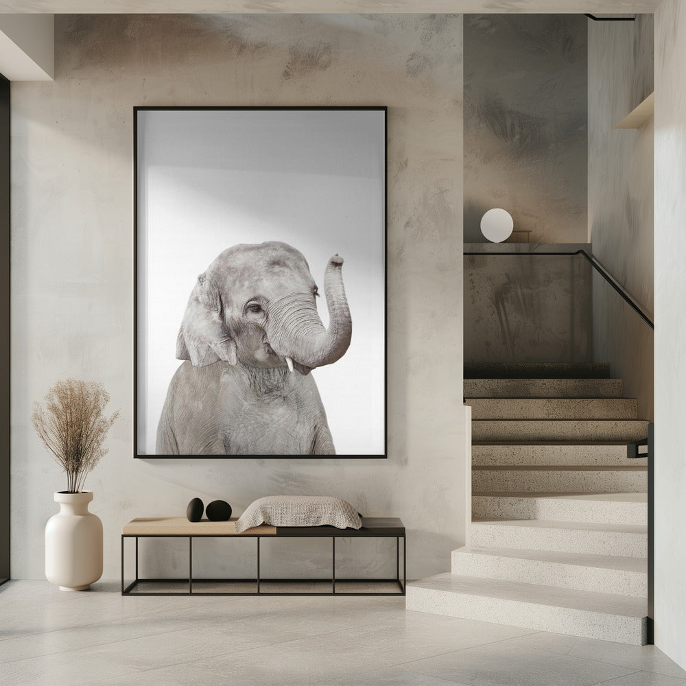Baby Elephant | Poster