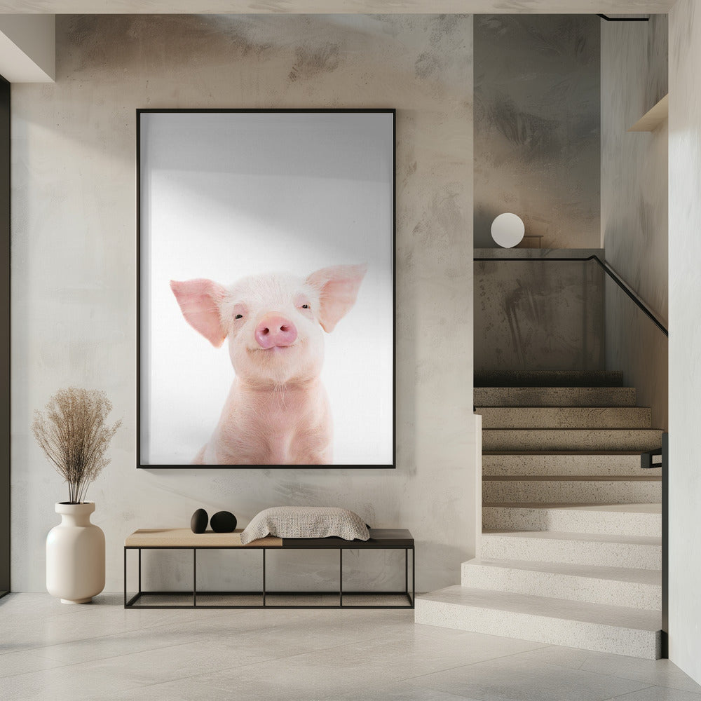 Baby Pig | Poster
