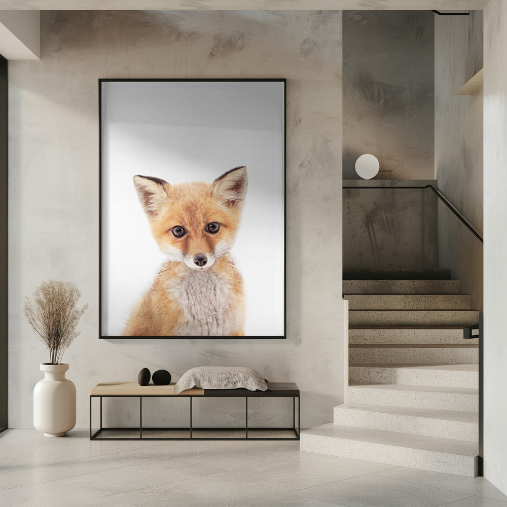 Baby Fox | Poster