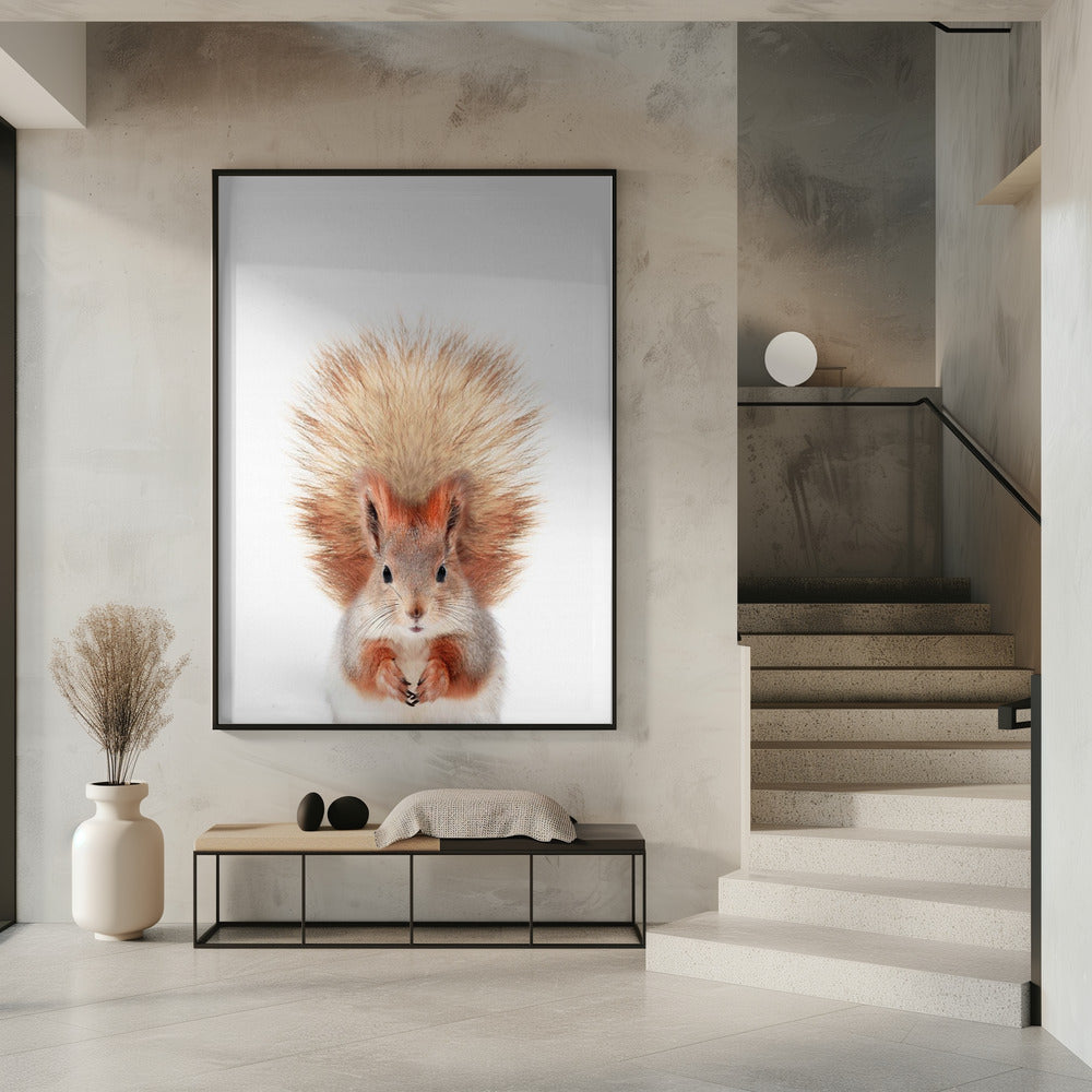 Baby Squirel | Poster