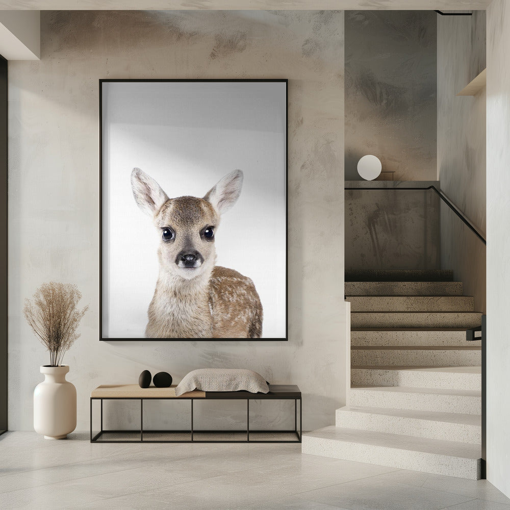Baby Deer | Poster