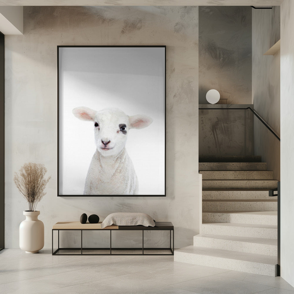 Baby Lamb | Poster