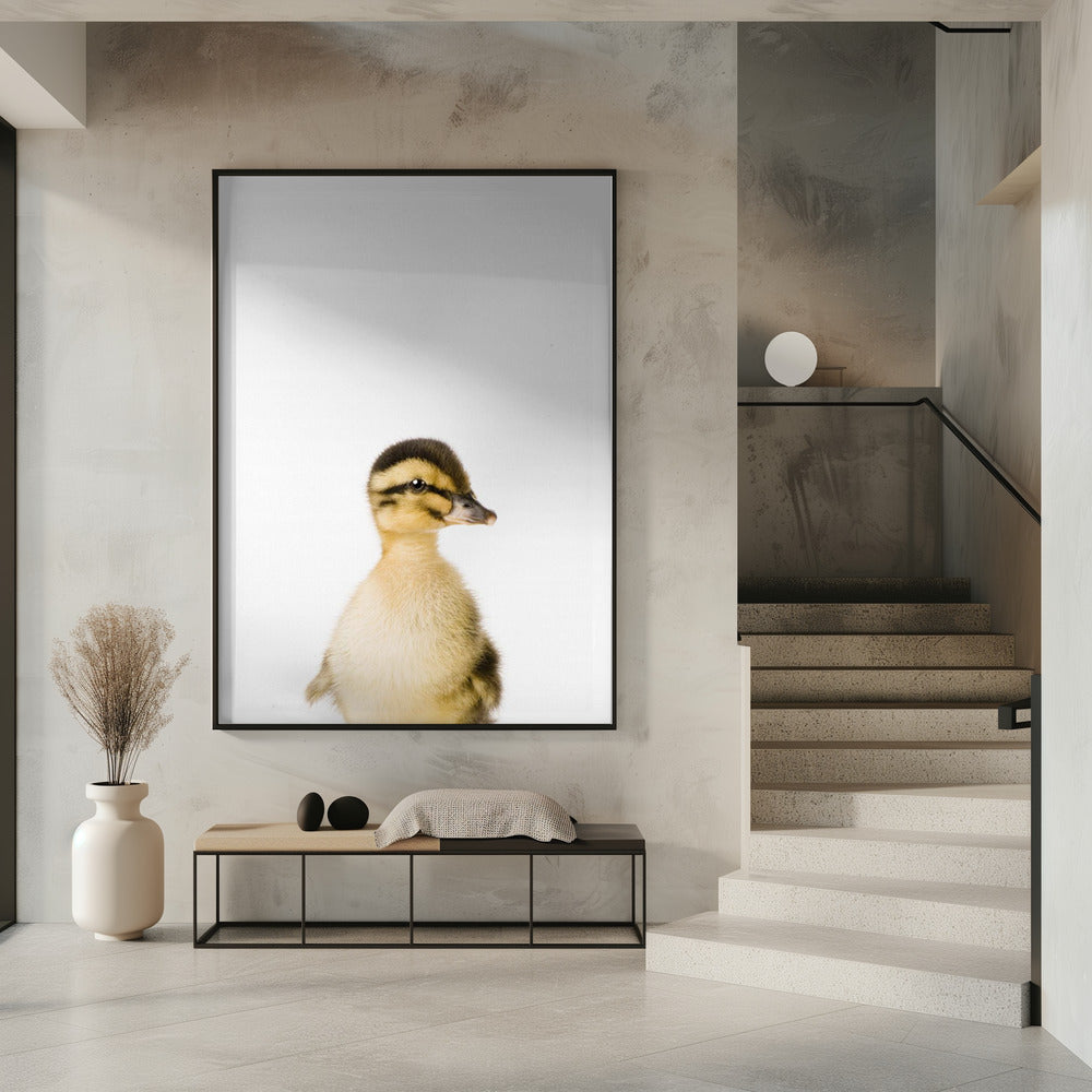 Baby Duck | Poster