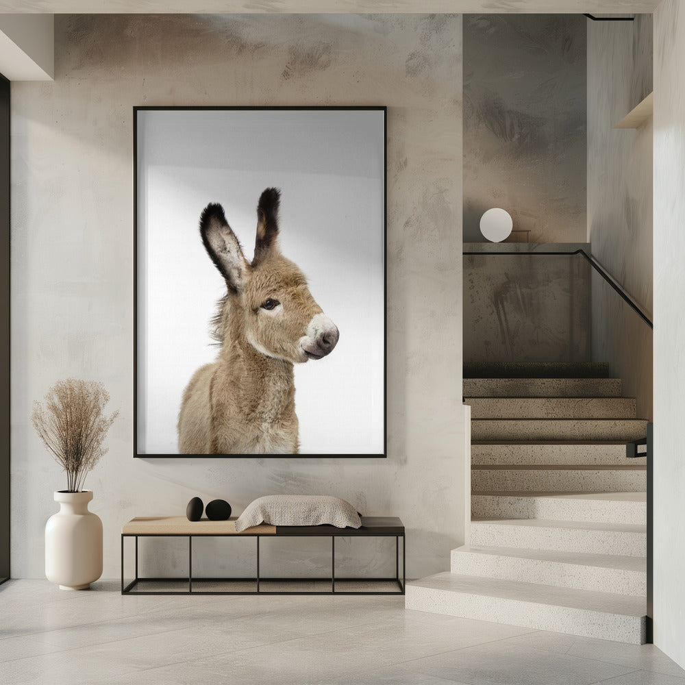 Baby Donkey | Poster