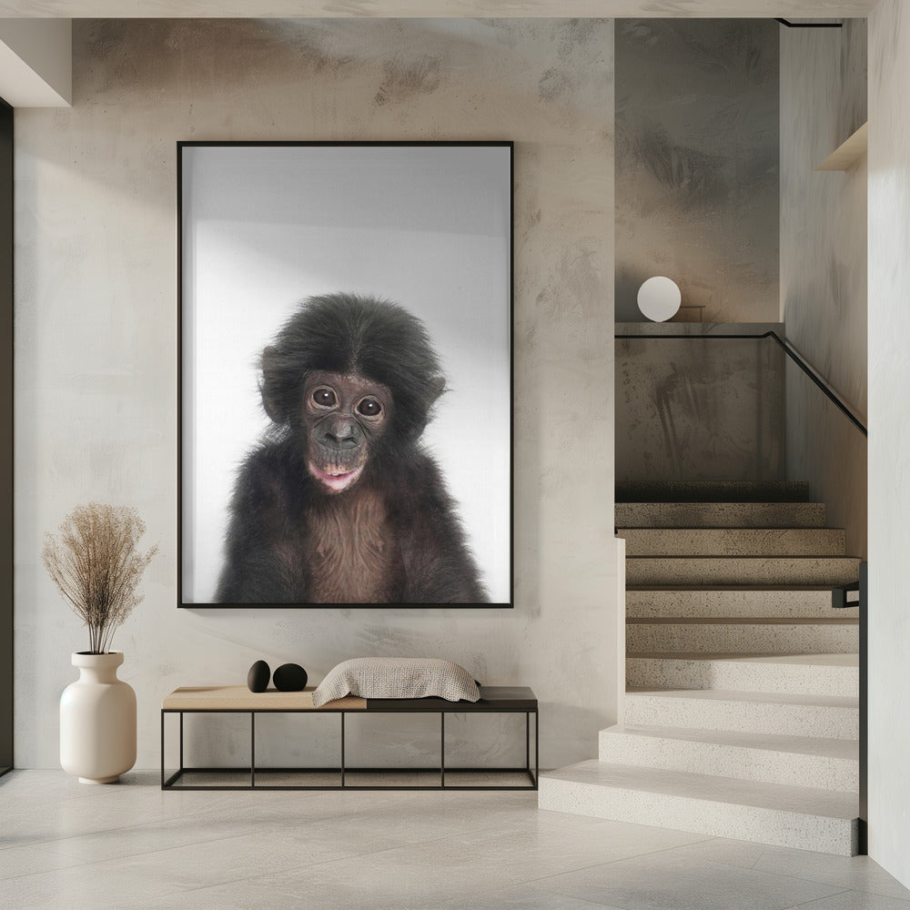 Baby Monkey | Poster