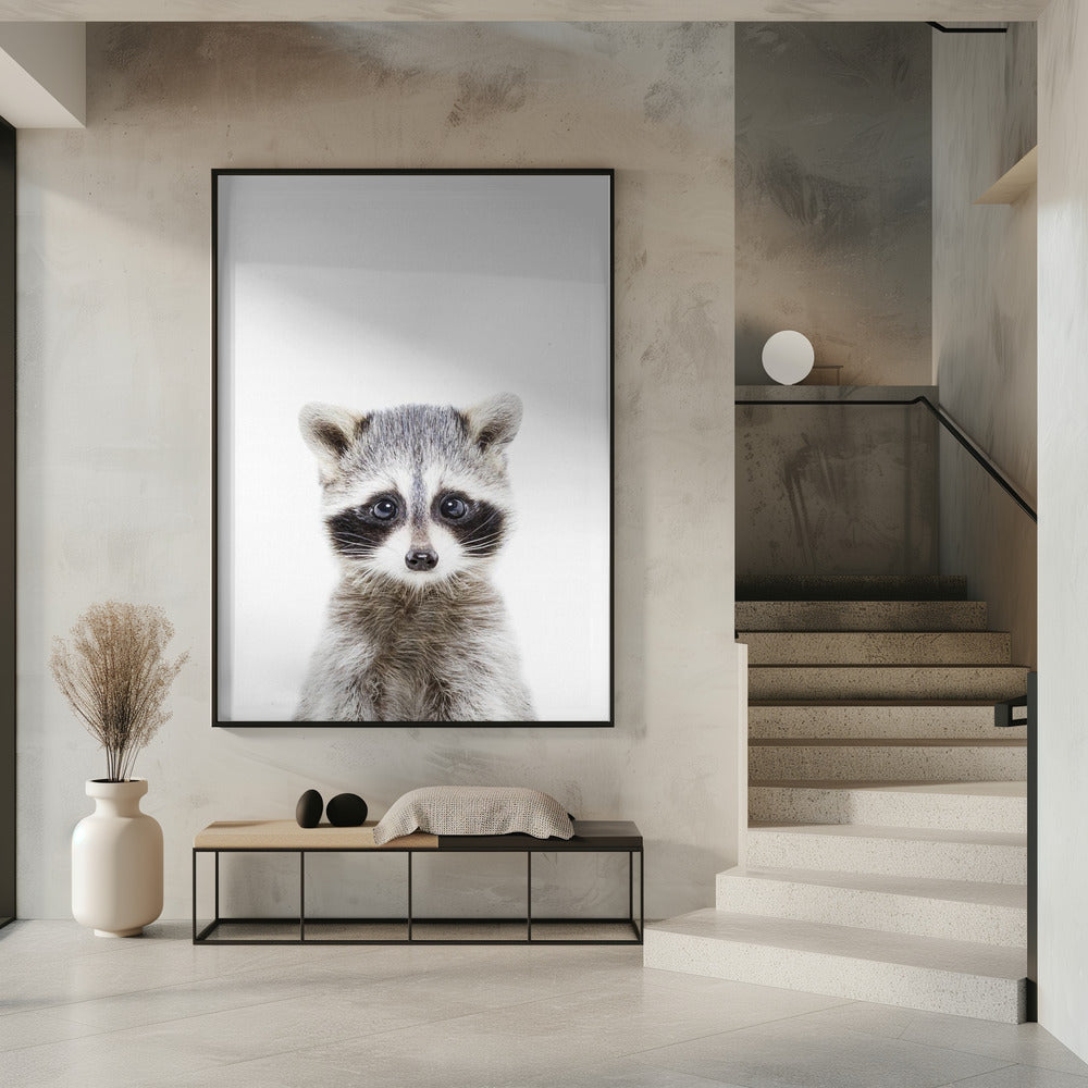 Baby Racoon | Poster