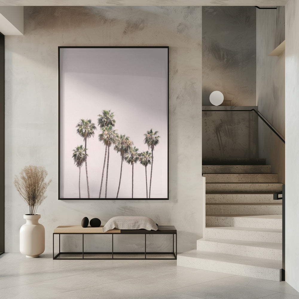 Blush Palms | Poster