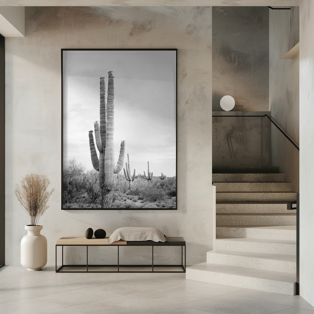 Saguaro B&amp;W | Poster
