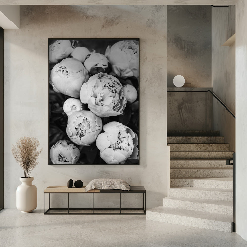 Peonies | Poster