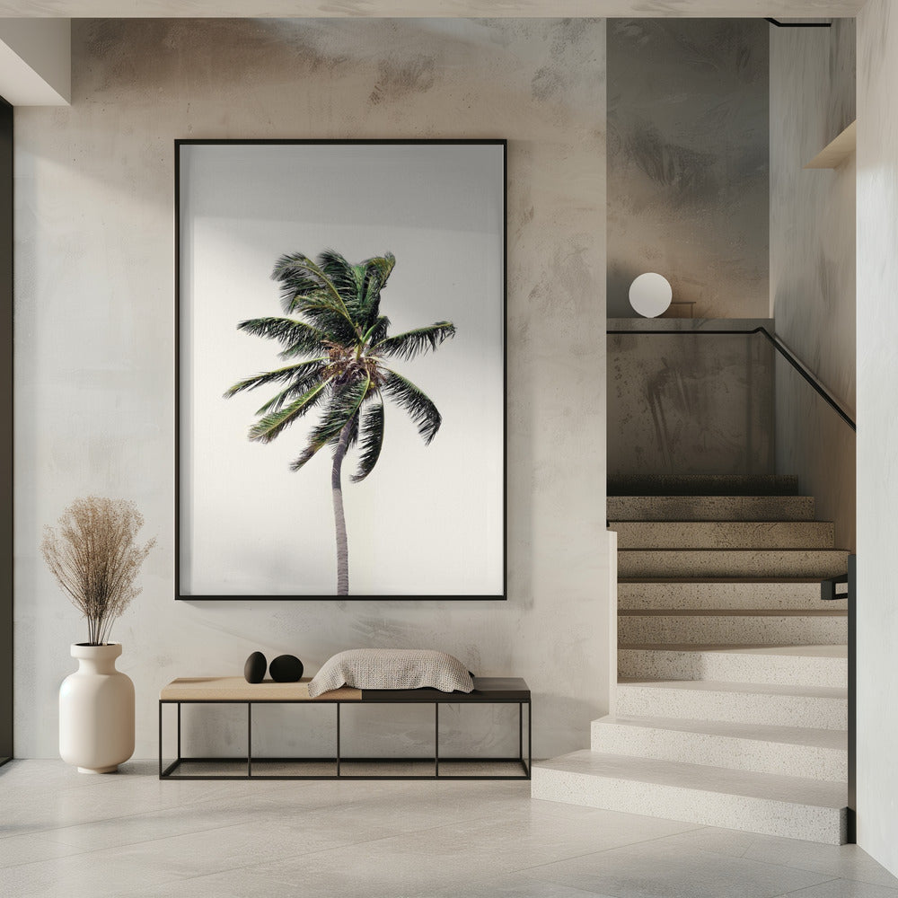 Windy Palm Tree | Poster