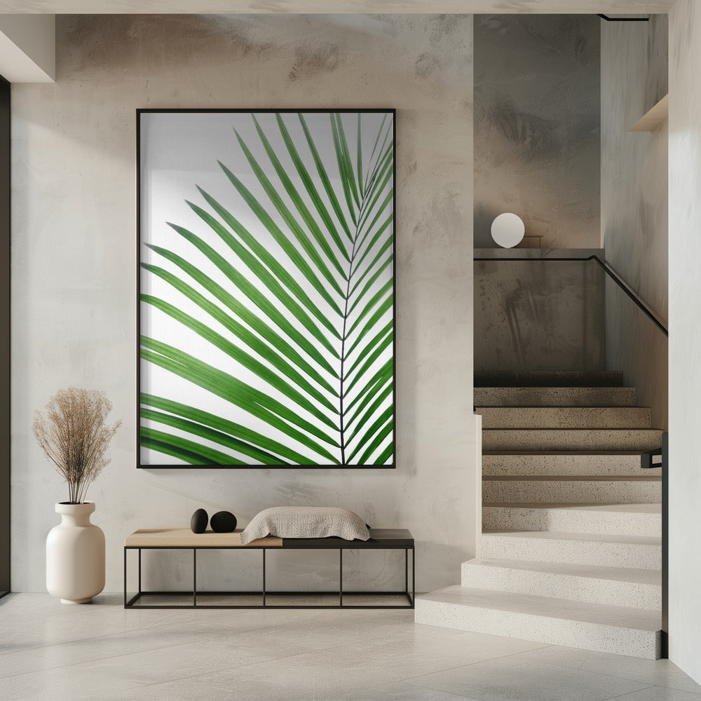 Green Palm Leaf | Poster